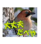 サロベツ原野の動物・野鳥たち（個別スタンプ：18）