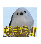 サロベツ原野の動物・野鳥たち（個別スタンプ：21）