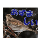 サロベツ原野の動物・野鳥たち（個別スタンプ：22）