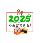 2025年巳年のご挨拶♪withマルチーズ（個別スタンプ：10）