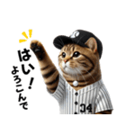 【敬語】リアル野球猫（個別スタンプ：3）