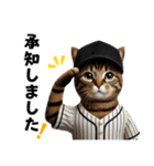 【敬語】リアル野球猫（個別スタンプ：5）