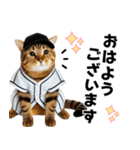 【敬語】リアル野球猫（個別スタンプ：8）