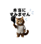 【敬語】リアル野球猫（個別スタンプ：13）