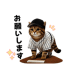 【敬語】リアル野球猫（個別スタンプ：14）