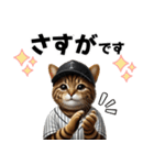 【敬語】リアル野球猫（個別スタンプ：17）