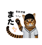 【敬語】リアル野球猫（個別スタンプ：29）