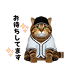 【敬語】リアル野球猫（個別スタンプ：36）