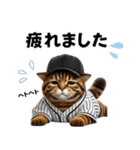 【敬語】リアル野球猫（個別スタンプ：39）