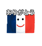 フランス国旗（個別スタンプ：3）