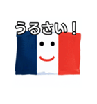 フランス国旗（個別スタンプ：29）