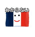 フランス国旗（個別スタンプ：30）