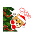 花よりわんこ4（X'mas、正月、2025修正版）（個別スタンプ：9）