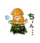 花よりわんこ4（X'mas、正月、2025修正版）（個別スタンプ：22）