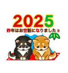 花よりわんこ4（X'mas、正月、2025修正版）（個別スタンプ：37）