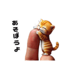 指先猫❗️指にゃん。（個別スタンプ：18）