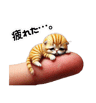 指先猫❗️指にゃん。（個別スタンプ：32）