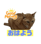 鬼カワダックスココちゃんと愉快な仲間達1（個別スタンプ：3）