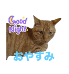 鬼カワダックスココちゃんと愉快な仲間達1（個別スタンプ：6）