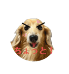 鬼カワダックスココちゃんと愉快な仲間達1（個別スタンプ：7）