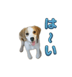 鬼カワダックスココちゃんと愉快な仲間達1（個別スタンプ：8）