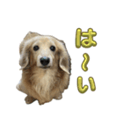 鬼カワダックスココちゃんと愉快な仲間達1（個別スタンプ：9）