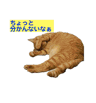 鬼カワダックスココちゃんと愉快な仲間達1（個別スタンプ：10）