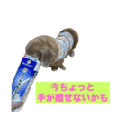 鬼カワダックスココちゃんと愉快な仲間達1（個別スタンプ：11）