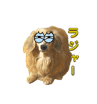 鬼カワダックスココちゃんと愉快な仲間達1（個別スタンプ：14）