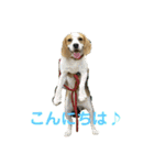 鬼カワダックスココちゃんと愉快な仲間達1（個別スタンプ：16）