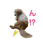 鬼カワダックスココちゃんと愉快な仲間達1（個別スタンプ：23）