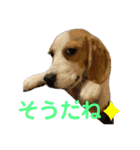 鬼カワダックスココちゃんと愉快な仲間達1（個別スタンプ：26）