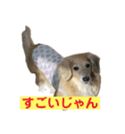 鬼カワダックスココちゃんと愉快な仲間達1（個別スタンプ：27）