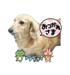 鬼カワダックスココちゃんと愉快な仲間達1（個別スタンプ：31）