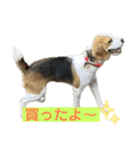 鬼カワダックスココちゃんと愉快な仲間達1（個別スタンプ：32）