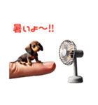 指先犬❗️指わん（個別スタンプ：3）