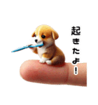 指先犬❗️指わん（個別スタンプ：12）