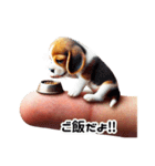 指先犬❗️指わん（個別スタンプ：20）