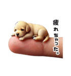 指先犬❗️指わん（個別スタンプ：24）