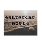 色あせたスタンプ【幸せへ続く道】（個別スタンプ：10）