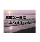 色あせたスタンプ【幸せへ続く道】（個別スタンプ：14）