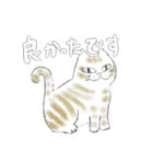 アートでカラフルなねこ（丁寧語）（個別スタンプ：25）