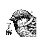 届けこの思い1 -動物たちとともに-（個別スタンプ：5）