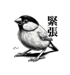 届けこの思い1 -動物たちとともに-（個別スタンプ：15）