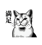 届けこの思い1 -動物たちとともに-（個別スタンプ：22）