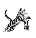 届けこの思い1 -動物たちとともに-（個別スタンプ：30）