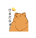 クマ・キャンベラ・ドゥングリ・モグリン（個別スタンプ：4）