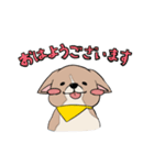 コーギーのむにむに（個別スタンプ：1）