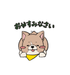 コーギーのむにむに（個別スタンプ：4）