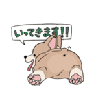 コーギーのむにむに（個別スタンプ：5）